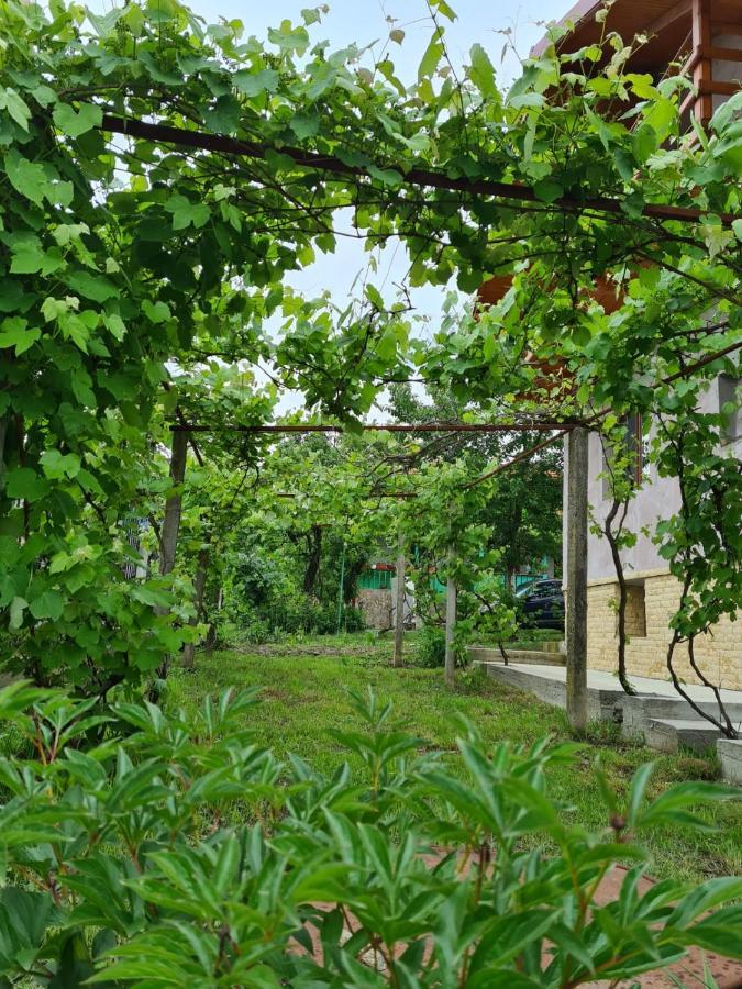 Casa Hera คาลิมาเนช ภายนอก รูปภาพ