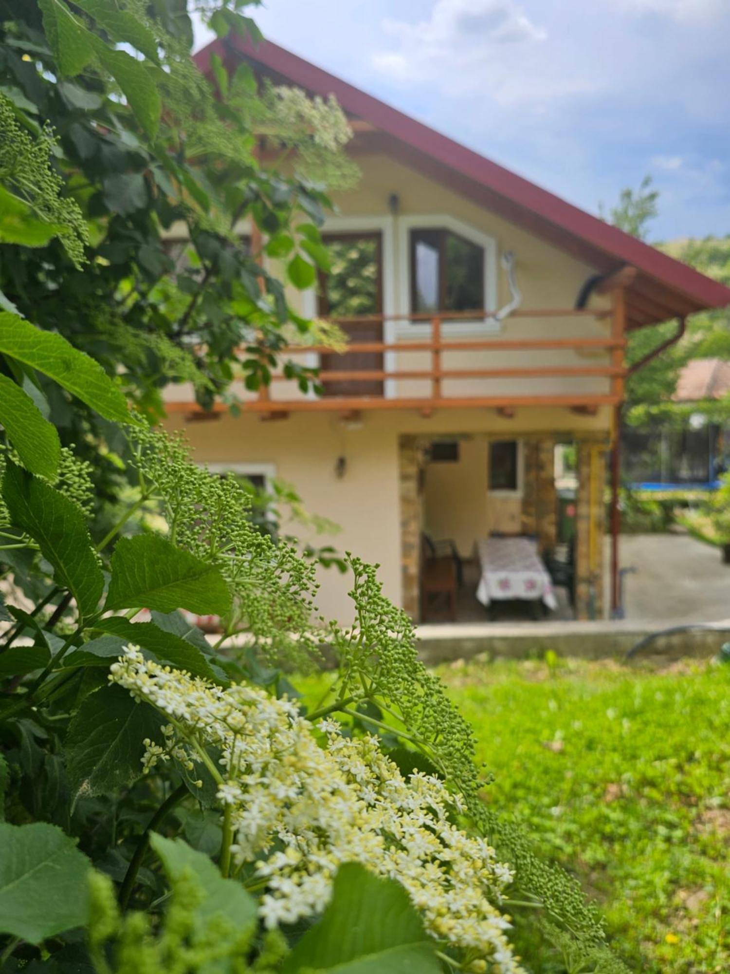 Casa Hera คาลิมาเนช ภายนอก รูปภาพ